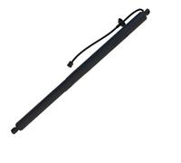 600661000B 6006611-00-B 600661100B Pour Tesla Pour Model S 2014-2020 Vérin À Gaz Pour Hayon Électrique Vérin Gaz Hayon Électrique(RH)