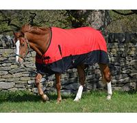 600d - Tapis imperméable léger pour cheval (100 g, col standard, 100 g)