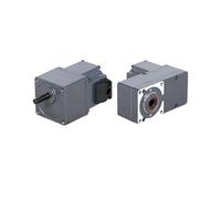 60mm size NEMA 24 25W 24V BLDC electronic starter with gearbox or L type hollow shaft gearbox NWPNLXEA(Ratio 100 to 1,Parallel Axis)