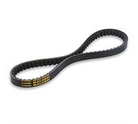 6112737 Courroie trapézoïdale Malossi X Kevlar Belt 830 x 21,5 mm