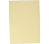 [614/50 08] folia Lot de 50 feuilles cartonnées format A4 300 g/m² Beige