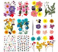 62 Pcs Ensemble de Fleurs Séchées Pressées Vraies Fleurs Séchées Naturelles Multicolores Feuilles Séchées Mélangées pour Bougie Résine Maquillage Bricolage Artisanat avec Autocollants Papillons