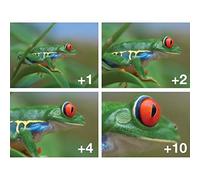 62MM Set 4 Filtres Close-Up Macro +1 +2 +4 +10 pour Objectifs 18-250mm Canon Nikon Pentax Sony, Pentax K-5 II et Sony A77 18-135mm f/3.5-5.6, Tamron 18-200 pour Canon Nikon ?