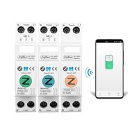 63A 1P+N Smart Switch Meter Kwh Metering Monitoring Circuit Breaker Timer Relay MCB smartlife protection NWPNLXEA(TOB9Z-T No Metering,40A)