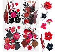 64 Pcs Natural Pressed Dried Flowers,Black And Red Dried Flowers Set Natural Dry Pressed Leaves,Dried Pressed Flowers For Diy Art Craft,Style C