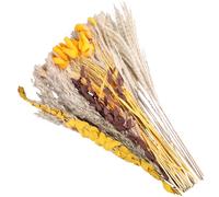 64 Pièces Herbes de la Pampa Séchées Naturelle Bouquet de Roseau Queue de Lapin Fleurs Séchée Bouquet de Fleurs Séchées Pampa pour de Fête Rustique Boho Mariage Chambre Anniversaire Vases Déco