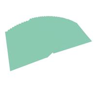 [6425] folia Pack de 100 Papier de Couleur A4 130g Menthe