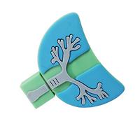 64GB Clé USB 2.0 Clé USB exFAT Clé USB 64G Clé USB Anti-poussière Clé USB Antichoc pour Stockage et Sauvegarde