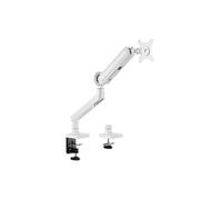 Equip Staffa Monitor 17-35" Bianca VESA 100x100 Regolabile MPN 650185 Max 10.5kg