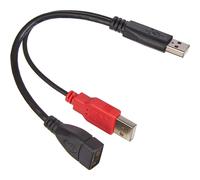 [65306] Delock Rallonge USB 2.0 avec alimentation supplémentaire 23 cm