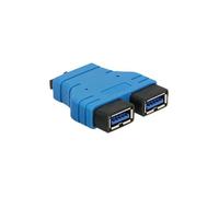 [65670] Delock Adaptateur USB3.0 vers 2 USB Type A