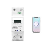 65A Single Phase Din Rail Smart Meter timer Monitor kWh Meter Wattmeter 110V 220V 50/60Hz MQXFCZUX(Energy meter)