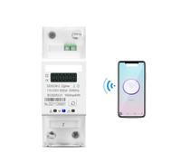 65A Single Phase Din Rail Smart Meter timer Monitor kWh Meter Wattmeter 110V 220V 50/60Hz NWPNLXEA(Energy meter)