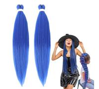 66cm Perruque Déguisement Hunter, Perruque Violette Tressées Pour En-fants Et Adultes, Coiffures De Chanteur Pop Accessoires De Cosplay D'Halloween, Cadeau Pour Femmes Filles (Bleu, 2pc)