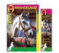 67-1262 Carte Bon Anniversaire Cheval blanc dans son box avec Enveloppe 12x17,5cm Passion Chevaux Poneys Sports équestres Saut d'obstacles Dressage Cross-country Courses hippiques - Fabriqué en France