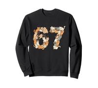67 Chemise avec Chats Meme Garçons Filles Chatons 67 Cat Six Seven Sweatshirt