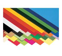 [6700] folia Pack 10 Feuilles Papier Couleur (L)500 x (H)700 mm 130g Blanc