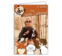 68-1306 Carte avec Enveloppe Vive Sainte Catherine 25 Novembre Bonne Fête pour petite fille qui aime les chiens Promenade Sable Mer Ganivelle Bois Marron Carte à échanger collectionner récréation