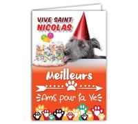 68-1317 Carte Vive Saint Nicolas Bonne Fête 6 décembre pour Enfant Sage Garçon Fille Meilleurs Amis pour la Vie Chien Gâteau Pattes Animaux Copains Récré - Avec Enveloppe Blanche Format 12x17,5cm