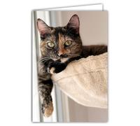 68-4023 Carte Photo Chat Animal Mignon Gentil Calme Repos Cocooning -Format fermé 17x11,5cm -Intérieur blanc pour écrire votre message -Livré avec une Enveloppe - Création et Fabrication Française
