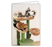 68-4026 Carte Photo Arbre à Chats Animaux Mignons Gentils Repos Cocooning -Format fermé 17x11,5cm -Intérieur blanc pour écrire votre message -Livré avec une Enveloppe -Création Fabrication Française