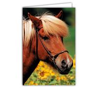 68-4029 Carte Photo Poney Animal Mignon Gentil Fleurs de Tournesols - Format fermé 17x11,5cm - Intérieur blanc pour écrire votre message - Livré avec une Enveloppe - Création et Fabrication Française