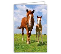 68-4030 Carte Photo Chevaux Jument Poulain Maman Bébé Animaux Mignons - Format fermé 17x11,5cm - Intérieur blanc pour écrire votre message - Livré avec une Enveloppe -Création et Fabrication Française