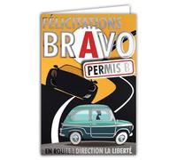 68-5003 PERMIS B Conduire Auto Voiture Argenté Brillant avec Enveloppe 12x17,5cm Création Impression Fabrication Française
