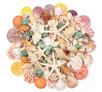 680g Coquillages Mixtes, 130+ Coquillages de Plage de DifféRentes Tailles éToiles de Mer Coquillages d'HuîTres Coquillages Marins Aquarium Poissons DIY Vase Remplissage Plage ThèMe FêTe Mariage Decor