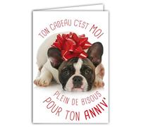 69-6204 Carte Bon Anniversaire Humoristique avec Enveloppe Illustrée format 17,5x12cm Chien Drôle Amusant Rigolo Déguisé en cadeau avec un nœud en ruban sur la tête - Création Fabrication française