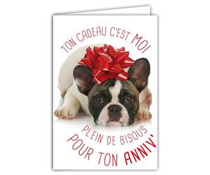 69-6204 Carte Bon Anniversaire Humoristique avec Enveloppe Illustrée format 17,5x12cm Chien Drôle Amusant Rigolo Déguisé en cadeau avec un nœud en ruban sur la tête - Création Fabrication française