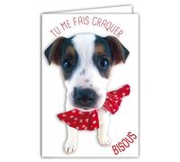 69-6219 Carte Tu me fais craquer BISOUS Message Humoristique avec Enveloppe Illustrée format 17,5x12cm Chien Drôle Amusant Rigolo Déguisé avec un Nœud Papillon à poids Création Fabrication française