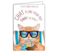 69-6221 Carte Petite PENSÉE pour toi Message Humoristique avec Enveloppe Illustrée format 17,5x12cm Chat plane pour moi Chat va Transat Cool Relax Drôle Amusant Rigolo Création Fabrication française