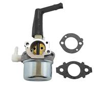 696065 Carburateur 697422 110402 110412 215369 1Pcs(Set 1)