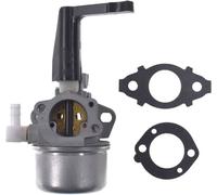 696065 Carburateur de remplacement pour Briggs & Stratton, 1 carburateur + 2 joints.