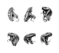 6feuilles Tatouages Éphémères À Base De Plantes, Représentant Un Serpent Noir, Résistants À L'Eau Et Durables, Sur Les Bras Des Hommes Et Des Femmes.