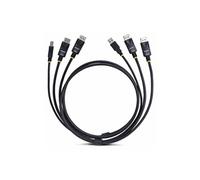 StarTech Câble KVM Double DisplayPort DP1.2 1,8 m USB 5Gbps 4K60Hz pour 2 moniteurs