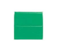 6p fimo soft vert trop 53