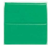 6p fimo soft vert trop 53