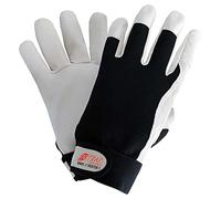 6Paar Nitras Schutzhandschuhe DEXTER 1, Größe 8, schwarz