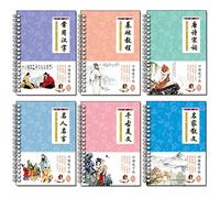 6pcs / Ensembles 3D Personnages chinois Réutilisable Groove Calligraphie Cotalbook Effacement Pen Direct Hanzi Adultes Art Livres d'écriture (Color : 6PCS)