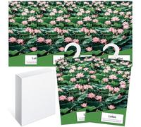 6PCS Sachet Parfumé Armoire Sent Bon Maison, Sachets Lavande Placards Parfum Voiture, Sachet Armoire Parfumé, Parfum d Ambiance Maison Parfum d'intérieur, Desodorisant Vetement Armoire (Lotus)