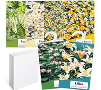 6PCS Sachet Parfumé Armoire Sent Bon Maison, Sachets Lavande Placards Parfum Voiture, Sachet Armoire Parfumé, Parfum d Ambiance Maison Parfum d'intérieur, Desodorisant Vetement Armoire (Multi)