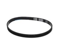 6PJ490 Circonférence 490 Mm Largeur 14 Mm Compatible pour Qualcast pour M2E1232M pour M2E1032M Courroie D'entraînement en Caoutchouc pour Tondeuse Courroie D'entraînement Courroies De Distribution