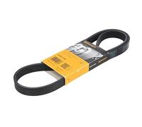 Courroie trapézoïdale à nervures CONTINENTAL 6PK1220