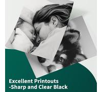 6X 364XL Noir Cartouches d'encre Compatible avec HP 364 364 XL pour Photosmart 5520 5510 5520 5524 5524 6520 5515 7520 Deskjet 3520 Officejet 4620 4622