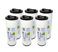 6x Filtre pour spa Darlly SC843 / PP6541 / 4CH-949