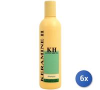 6X Lot Keramine H Shampooing Antichute 300 Ml