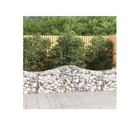Vidaxl Paniers À Gabions Arqués 6 Pcs 200x50x60/80 Cm Fer Galvanisé