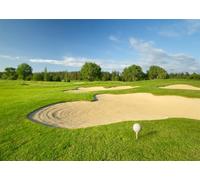 6x4FT (1.8x1.2m) Balle De Golf Près du Bunker De Sable Fond Photographique | Parcours De Championnat Ensoleillé Arrière Plan En Tissu,Fairway Vert Balle,Pour Fêtes Sportives Et Photos,Photo Booth